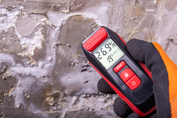 Best Mold Remediation Experts  in Cedar Point, NC