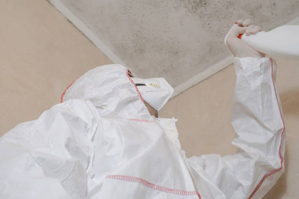 Best Certified Mold Removal  in Cedar Point, NC