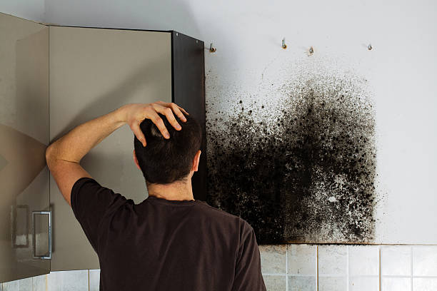Best Emergency Mold Removal  in Cedar Point, NC